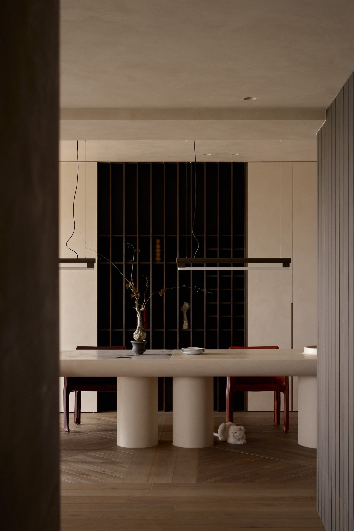 解构人猫共生的无界哲学-45