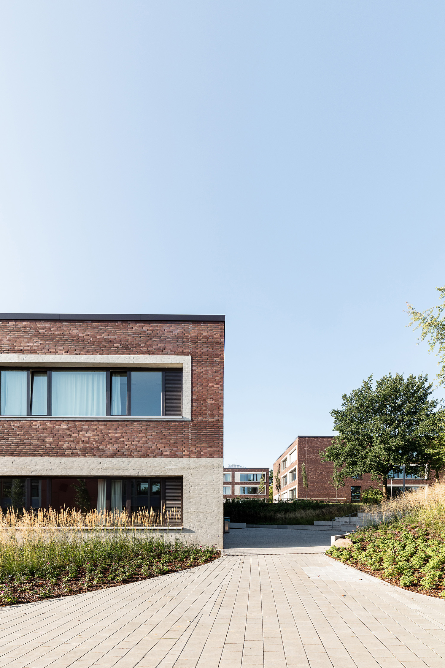 Hamburg校园建筑项目（未明确全称）丨德国汉堡丨AllesWirdGut,DnD景观建筑办公室-41