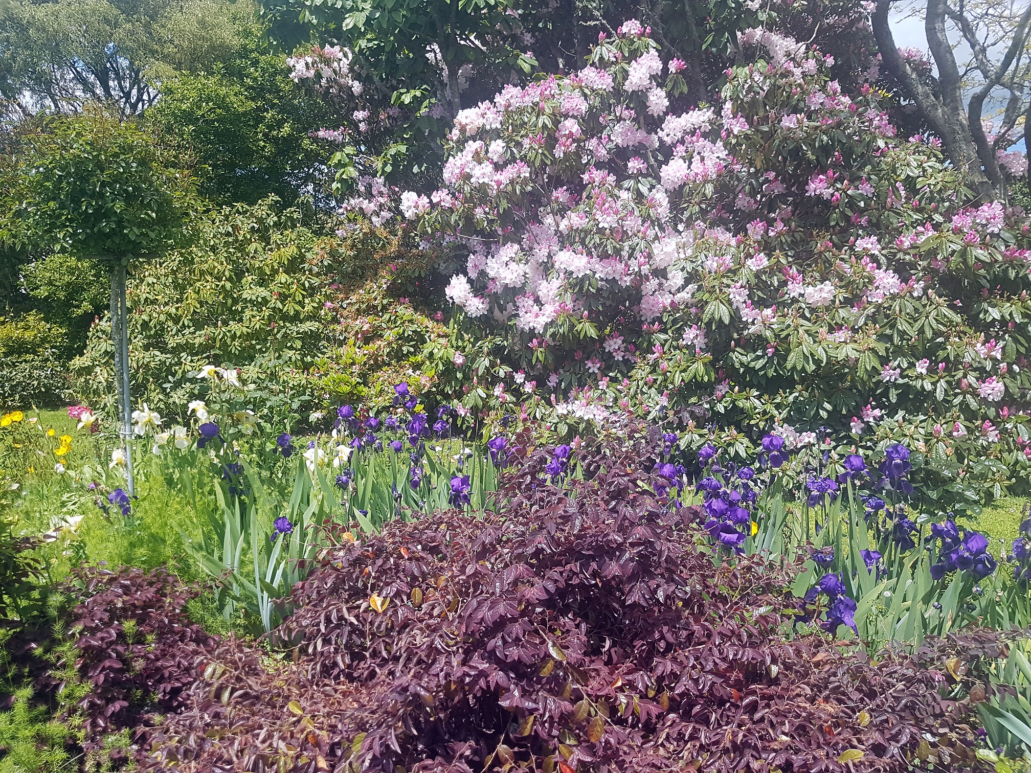 Cairnhill私人花园-4