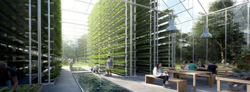 在这里，读懂共享社区-30