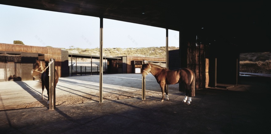 智利马匹养殖主之家·人马和谐共处的人居环境-59