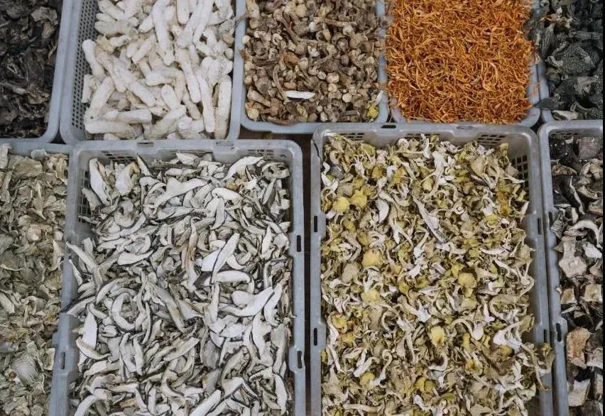 九种菌菇炖出冬日暖心汤丨中国云南-23