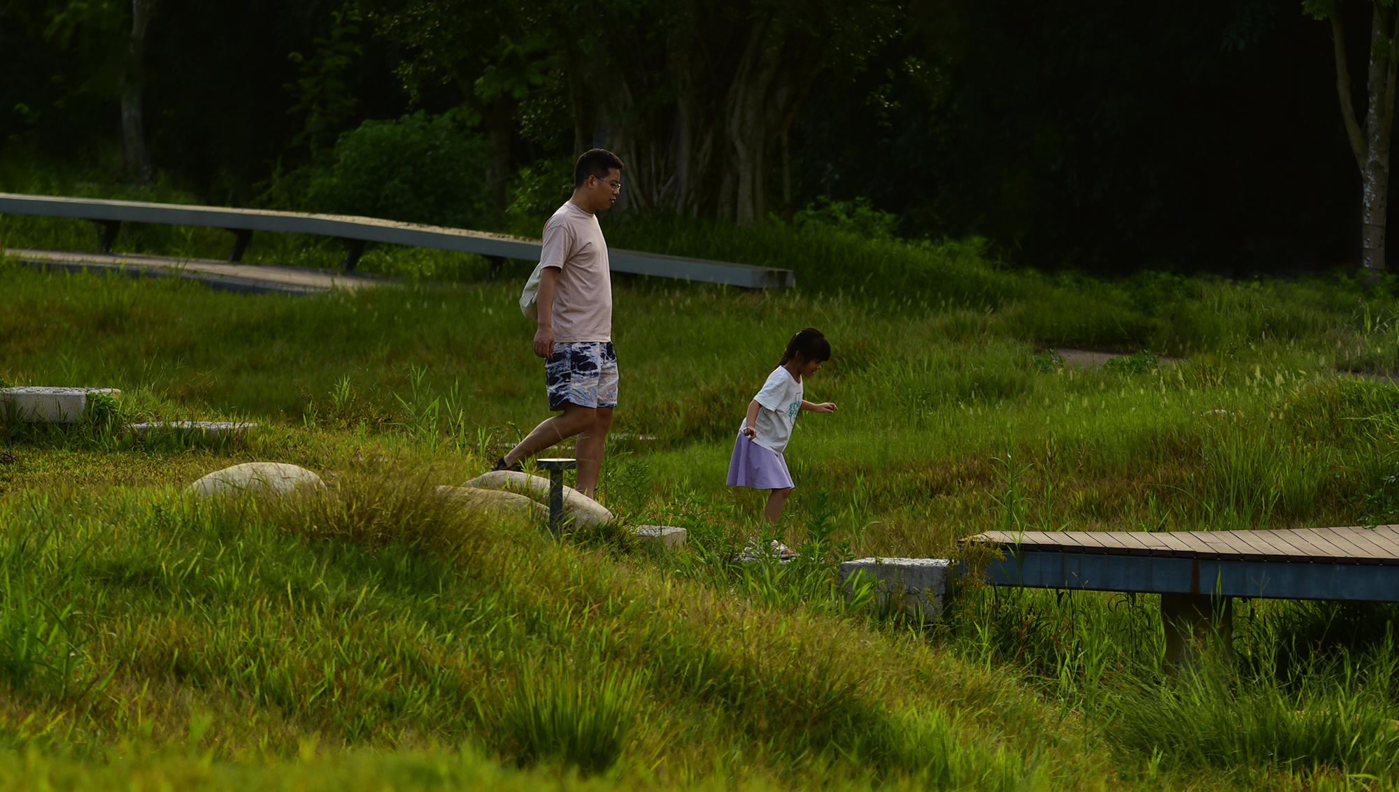 深圳光明虹桥1958生态公园丨中国深圳丨深圳自组空间,深圳市建筑科学研究院股份有限公司-24