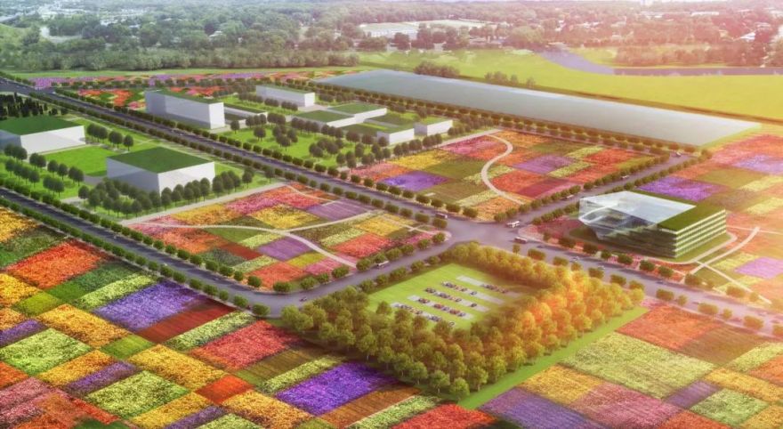 农业城市主义视角下的百色国家农业科技园区特色营造策略丨中国百色丨GZPI规划设计三所-25