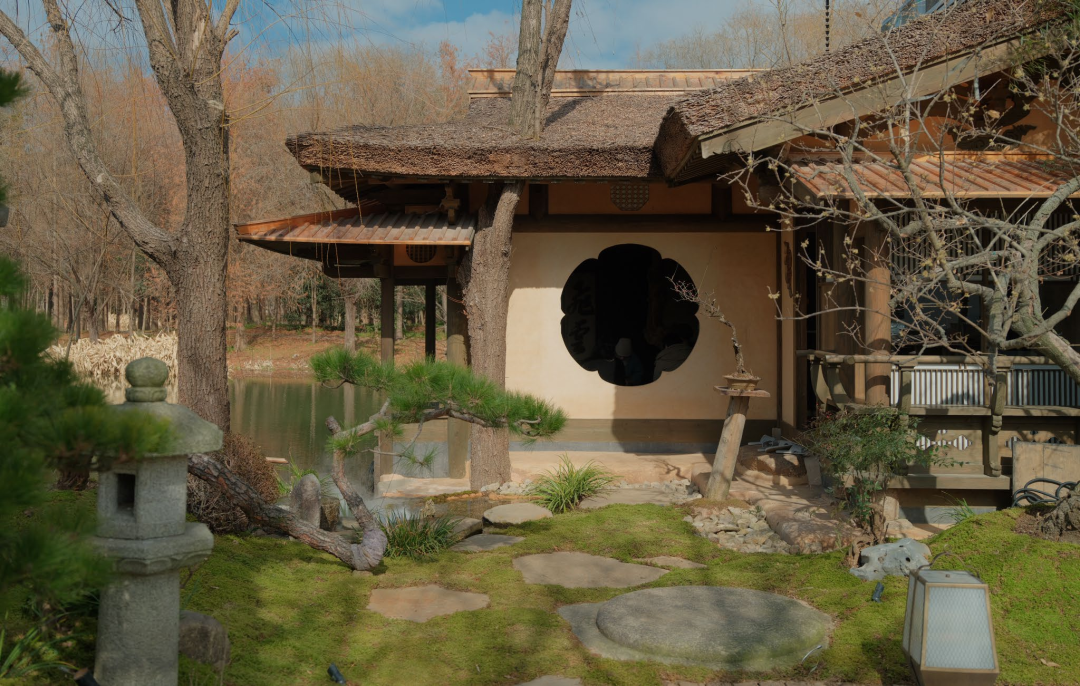 叁参茶空间丨宁波叁参文化-33