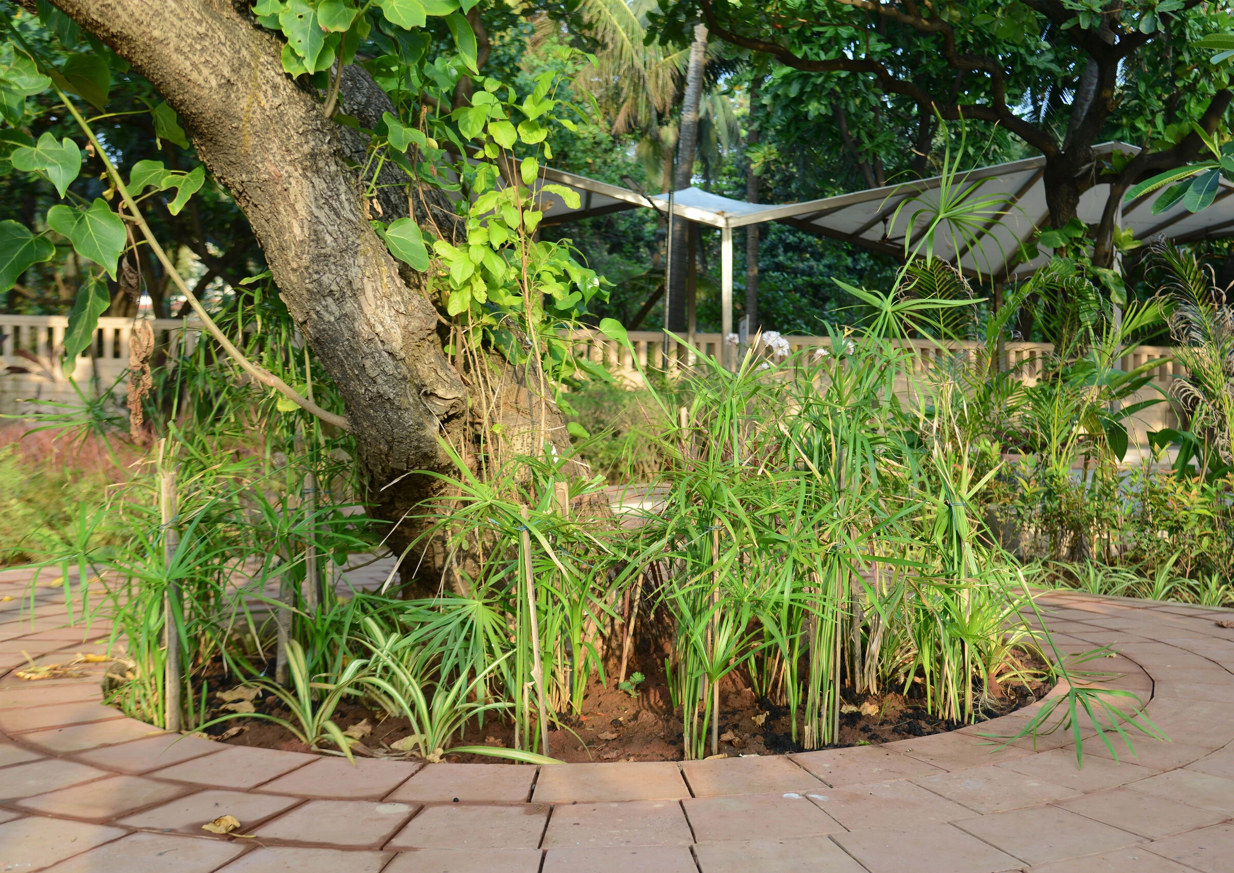 Juhu Beach 海滨公园丨印度丨Atelier ARBO-28