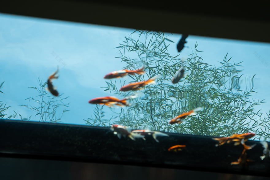 二十四院丨中国南京丨陈熠,肖锋-83