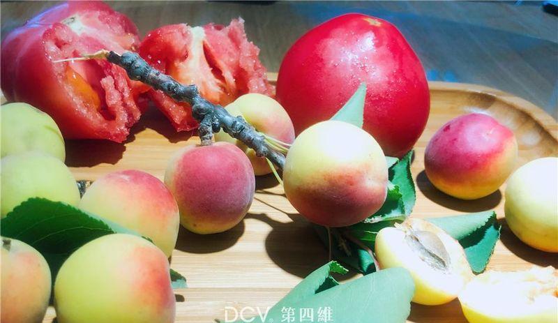 西安DCV第四维出品·蒲舍·南谷里东方禅意民宿酒店设计-32