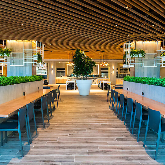 Northern Beaches Hospital - Forest Kitchen (Food Hall) by TORCA | Australian Interior Design Awards-0