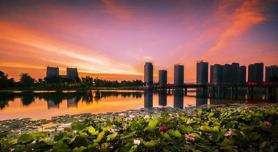 融创观河宸院 | 水墨莲城,缔造诗意人居典范-7