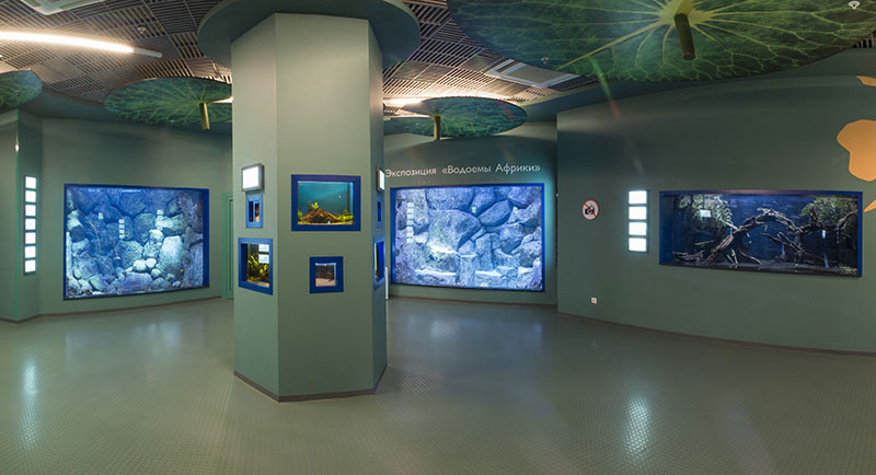 “Moskvarium”海洋馆丨俄罗斯莫斯科丨Aqua Logo Engineering-61