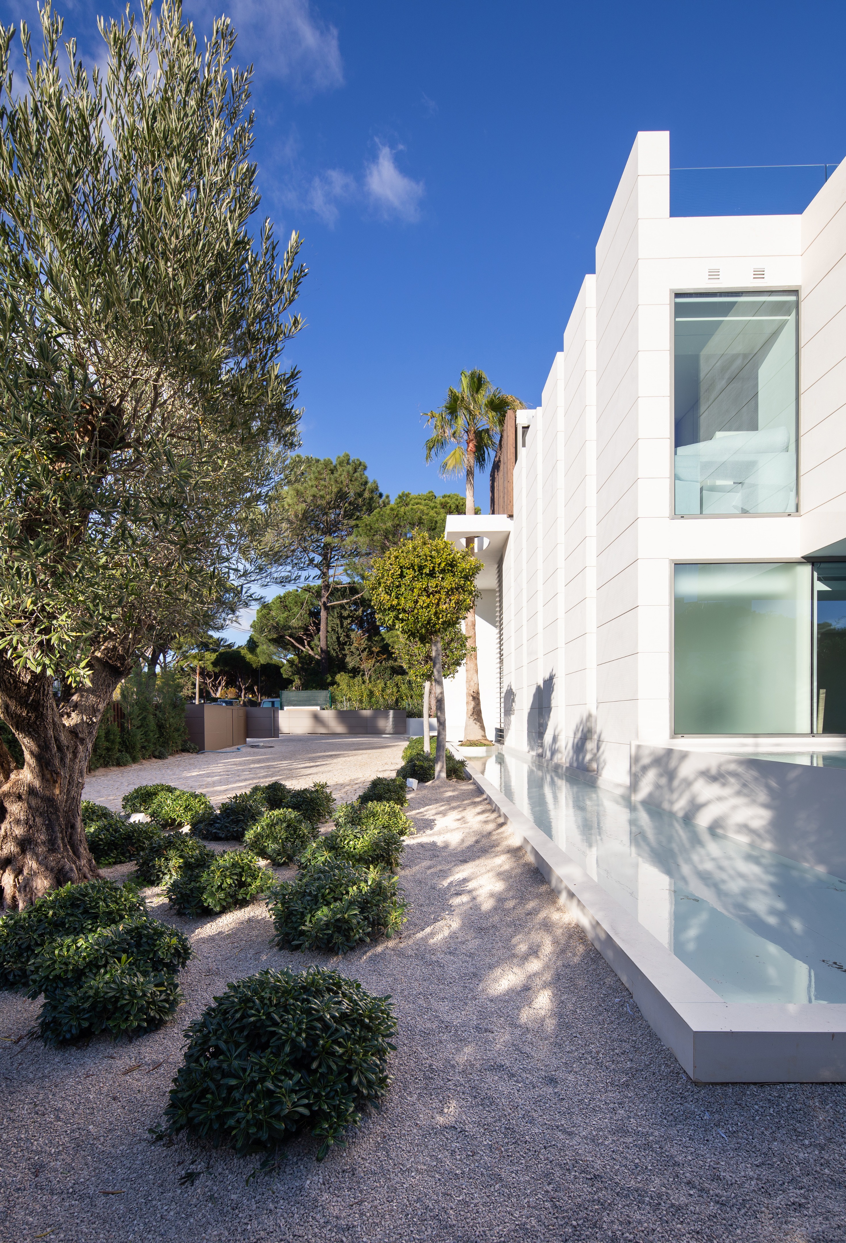 葡萄牙南部别墅的生态花园设计-8