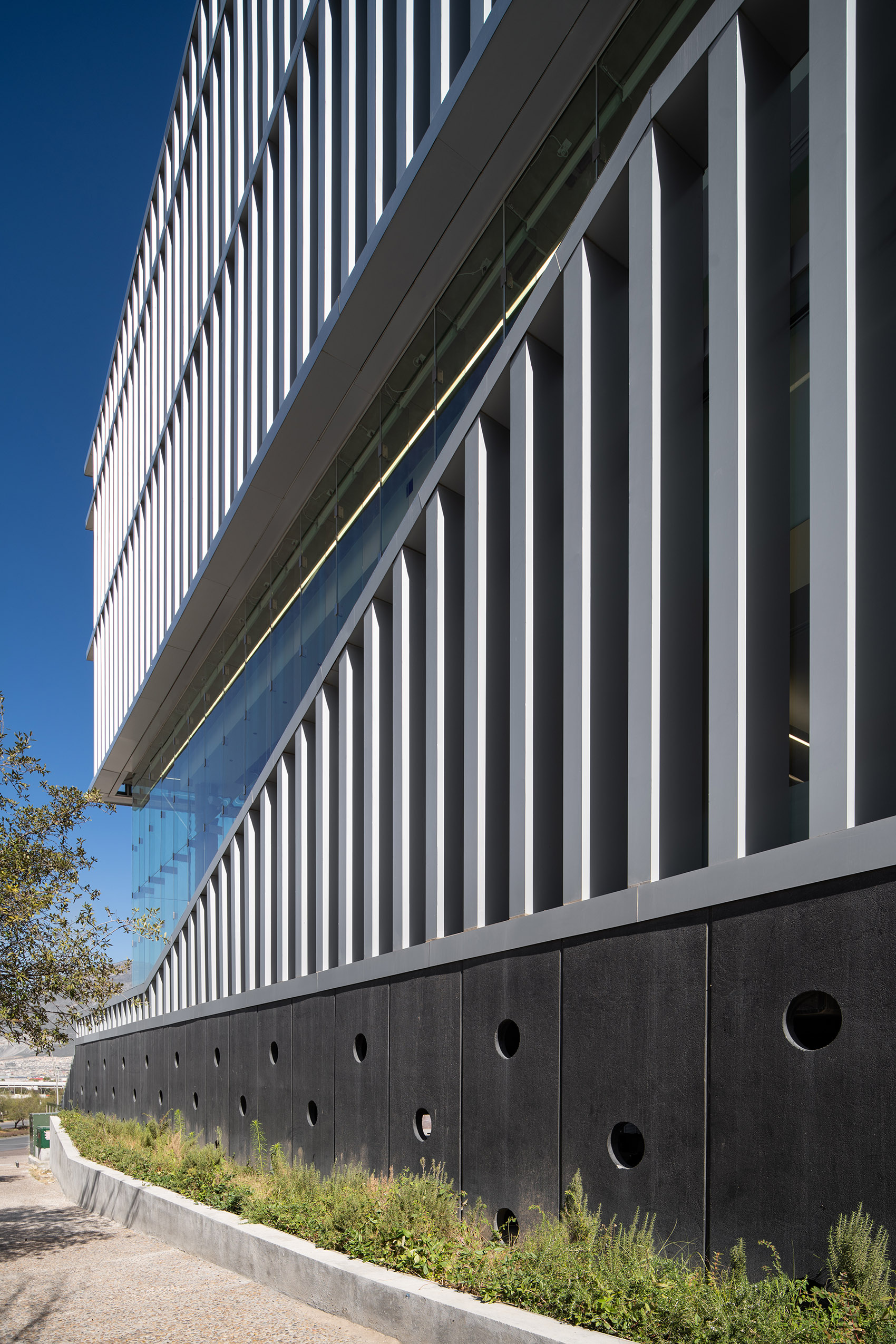 储存制药公司总部丨墨西哥丨Mass Operations-32