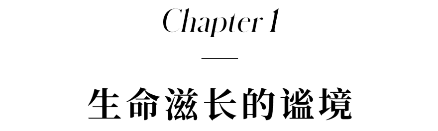 宁波凤栖云庐丨中国宁波丨近境制作,深圳市布鲁盟室内设计有限公司-5