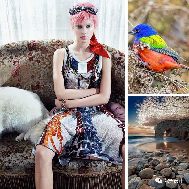 阿卡迪亚全案 | 融入自然的温馨院子空间设计-1