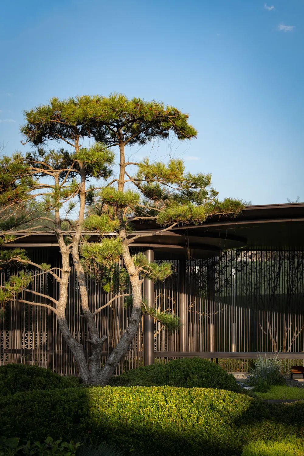 时光在海风中慢下来 | 大连 万科·公园都会 第二展示区-197