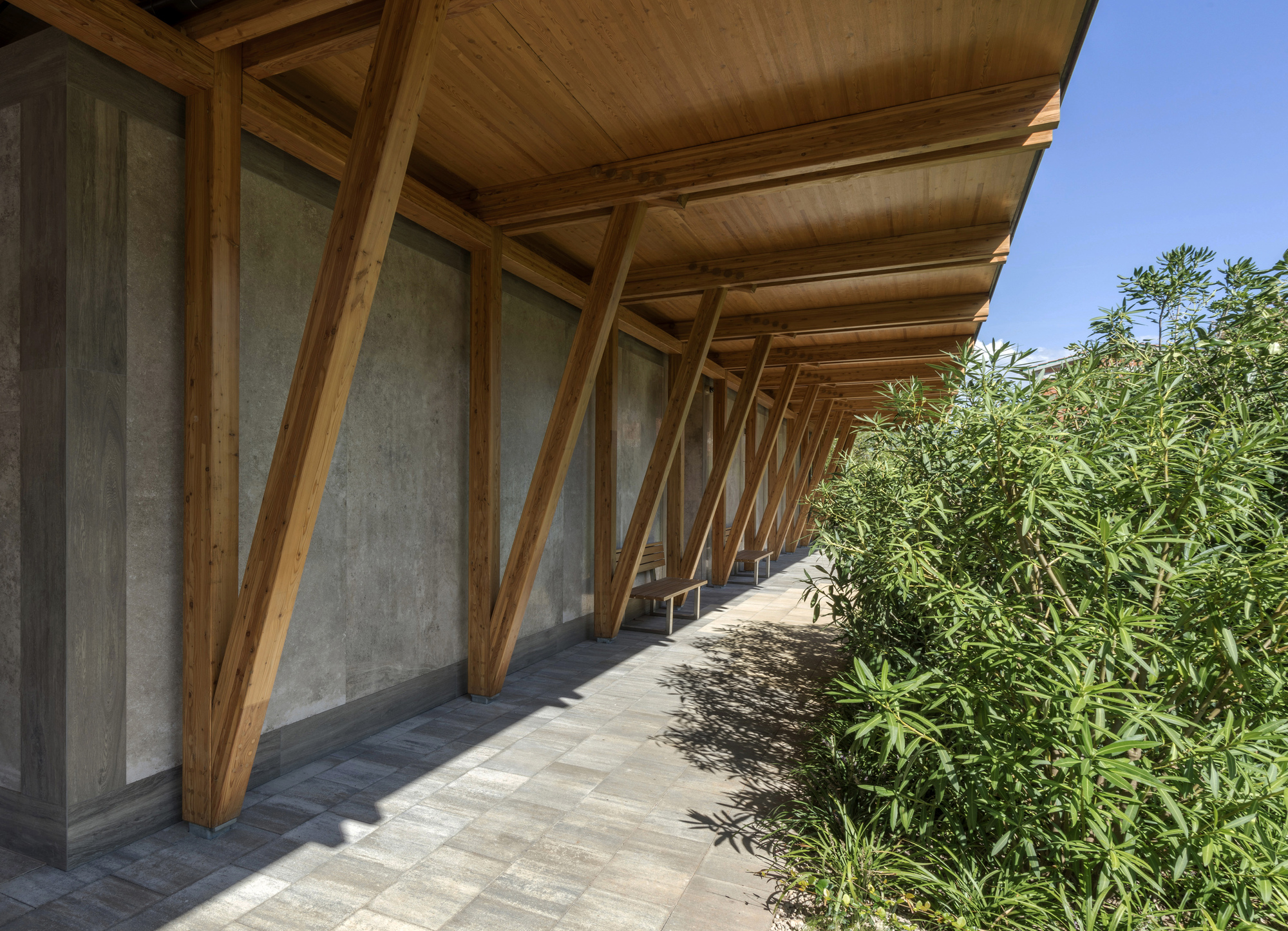 Wooden House / Turato Architects-27