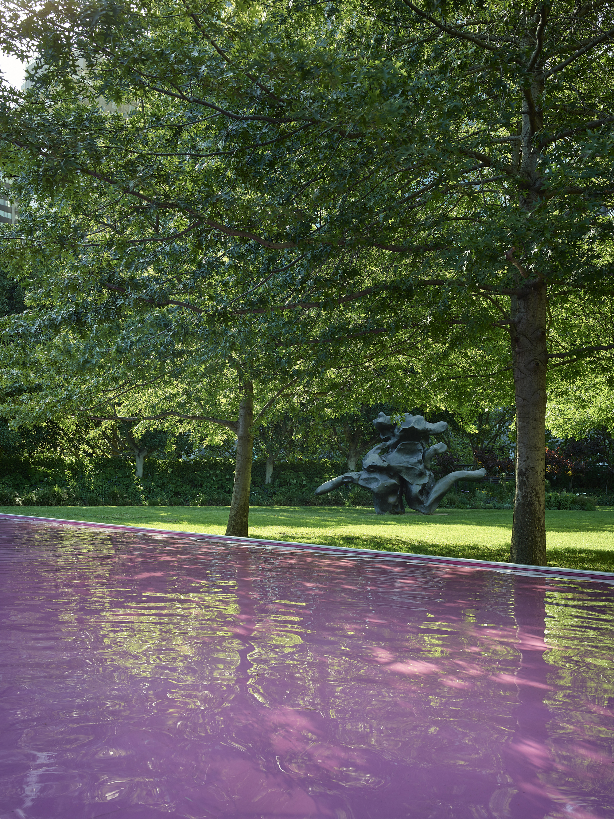 粉色池塘丨澳大利亚墨尔本丨Taylor Knights+James Carey-26