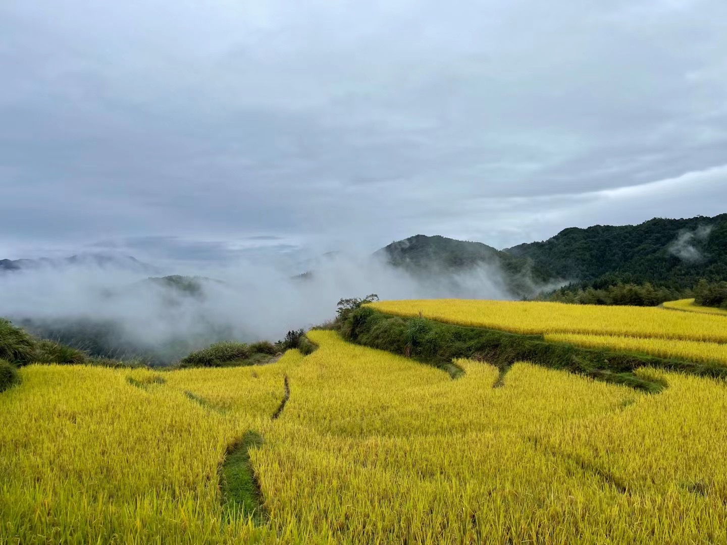 与自然对话:问稻社丨中国福建丨AG汇创,香港汇创国际建筑设计有限公司-127
