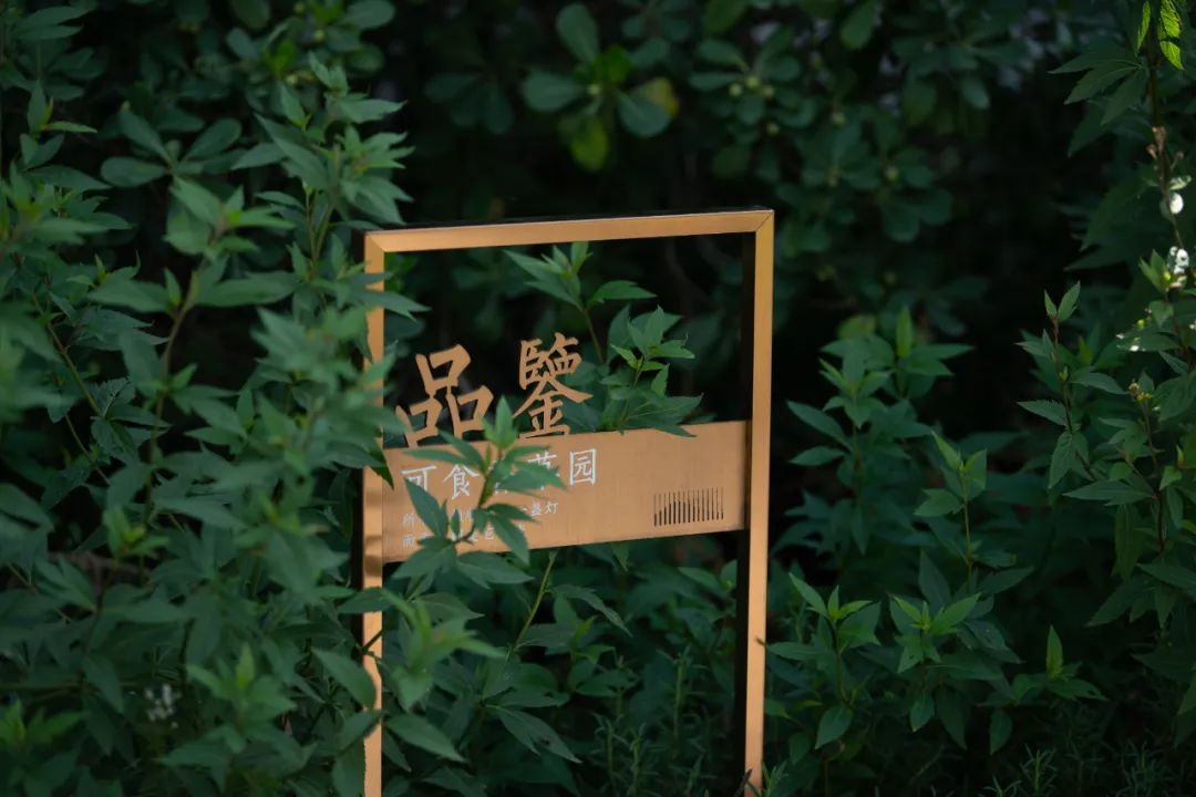 合肥城改万科 · 观山隐秀 | 丨中国合肥丨水平线设计-41