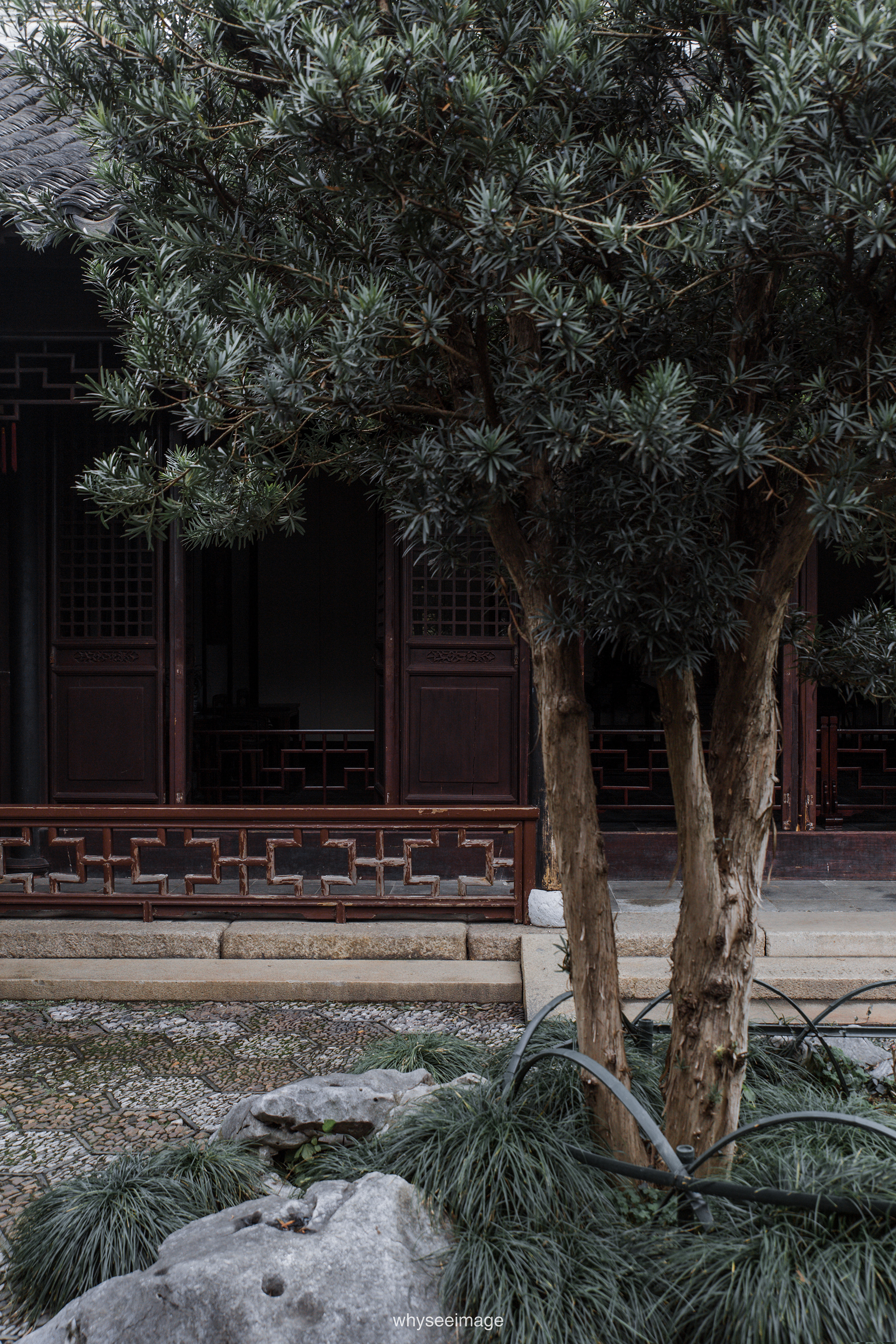 艺圃 Garden of Cultivation丨中国苏州丨whyseeimage-42