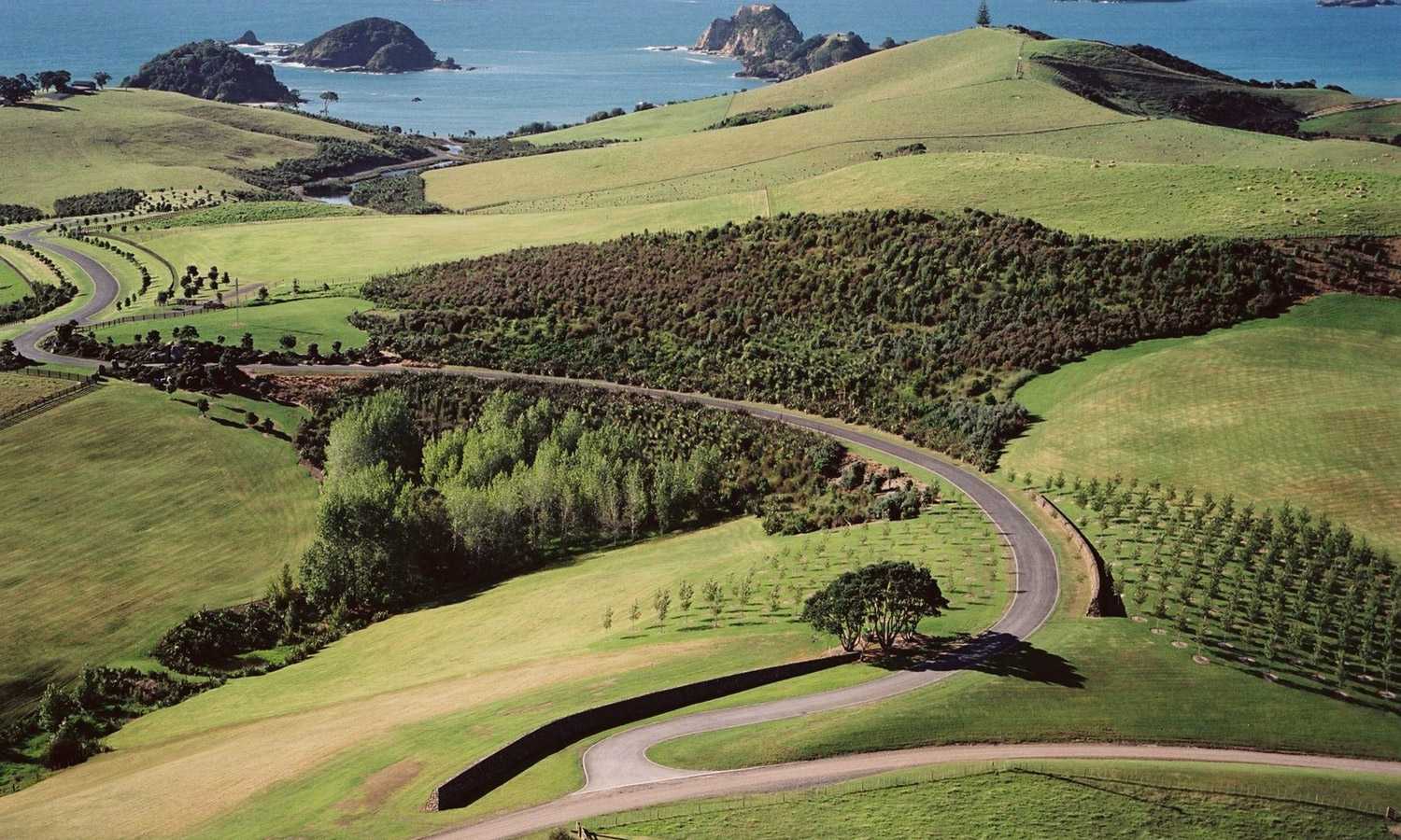 新西兰滨海绿地公园-4