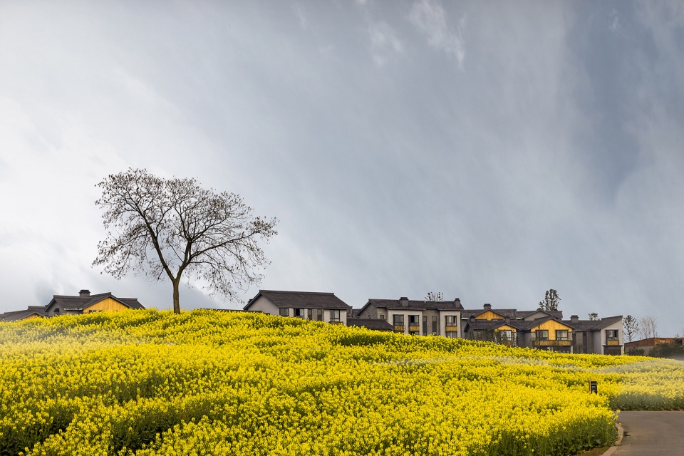 《天府新兴·和盛田园东方》 | 新田园主义哲学的空间实验-20