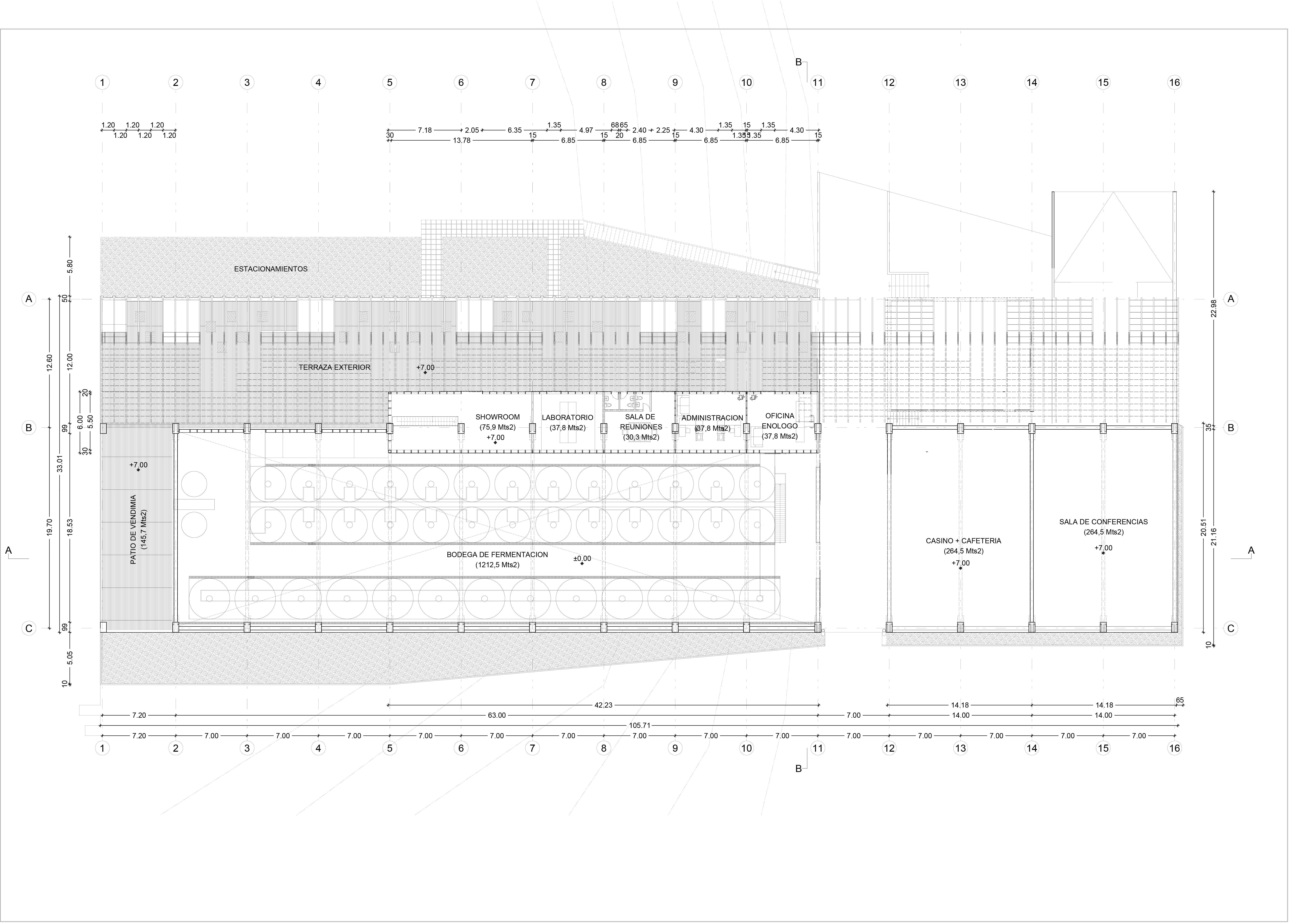 Proyecto Vitivinícola, 2008-1