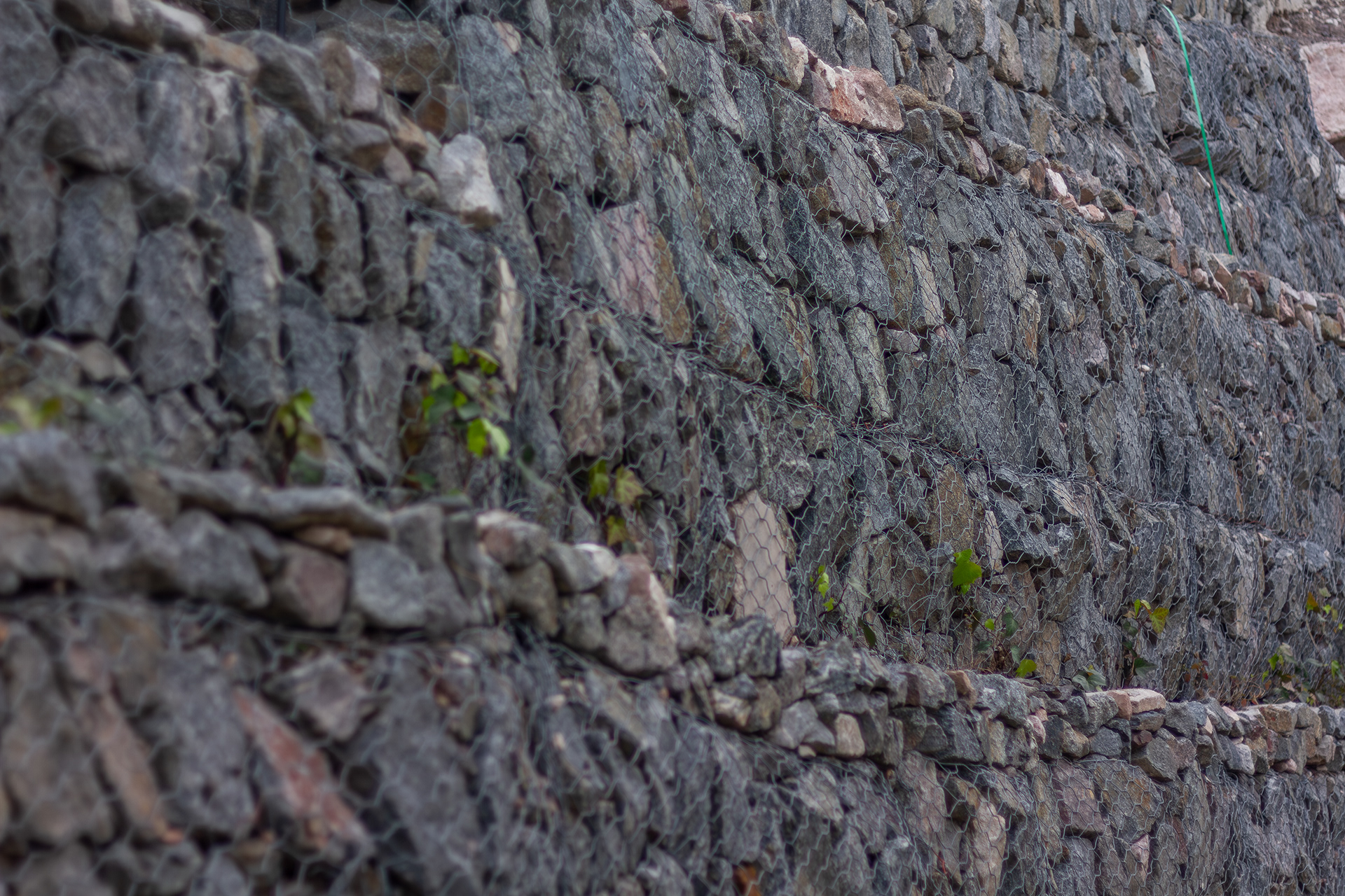 La Cuesta - La Calera-18