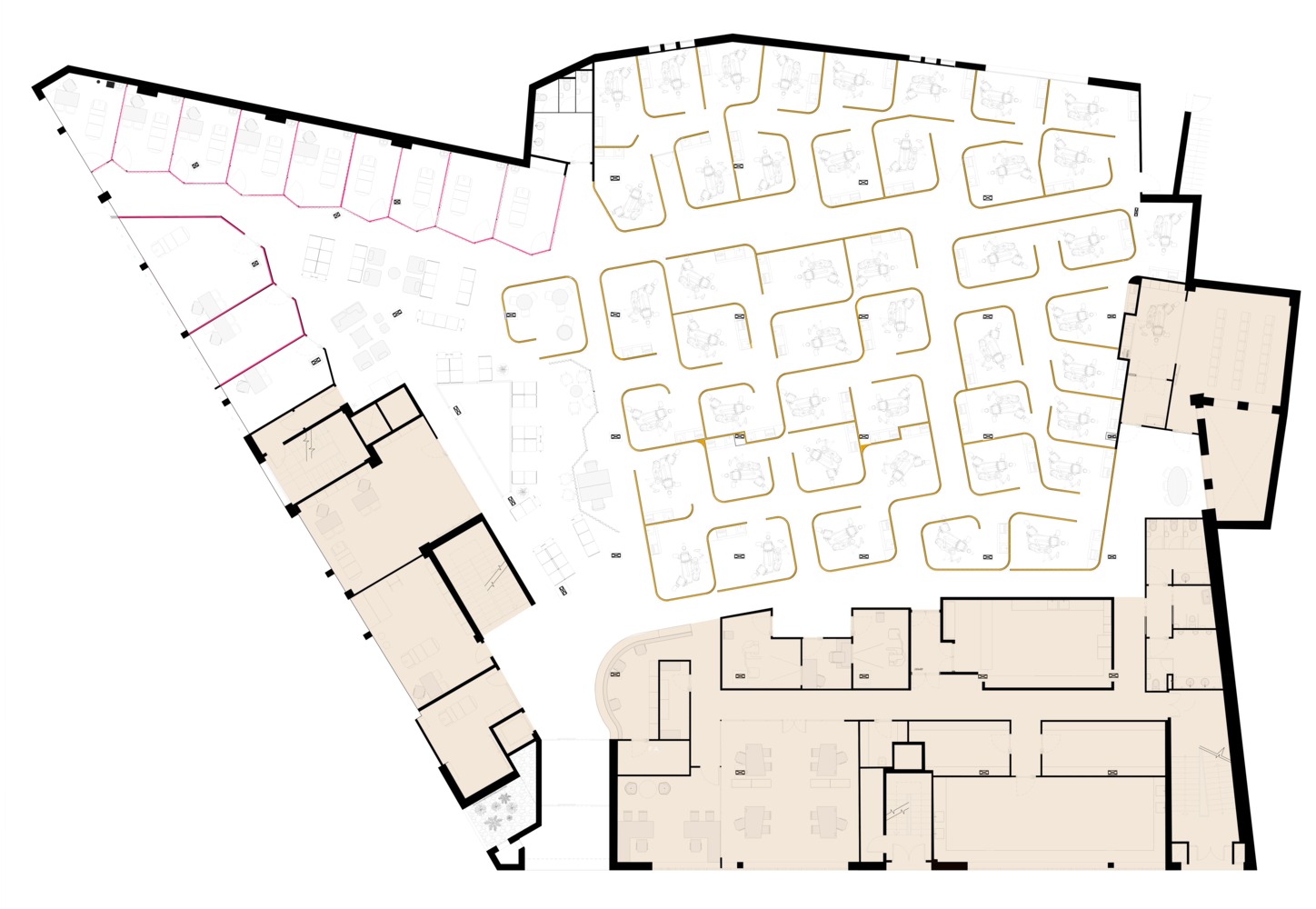 CEU San Pablo 大学多学科诊所 · 有机曲线与功能布局的融合-20