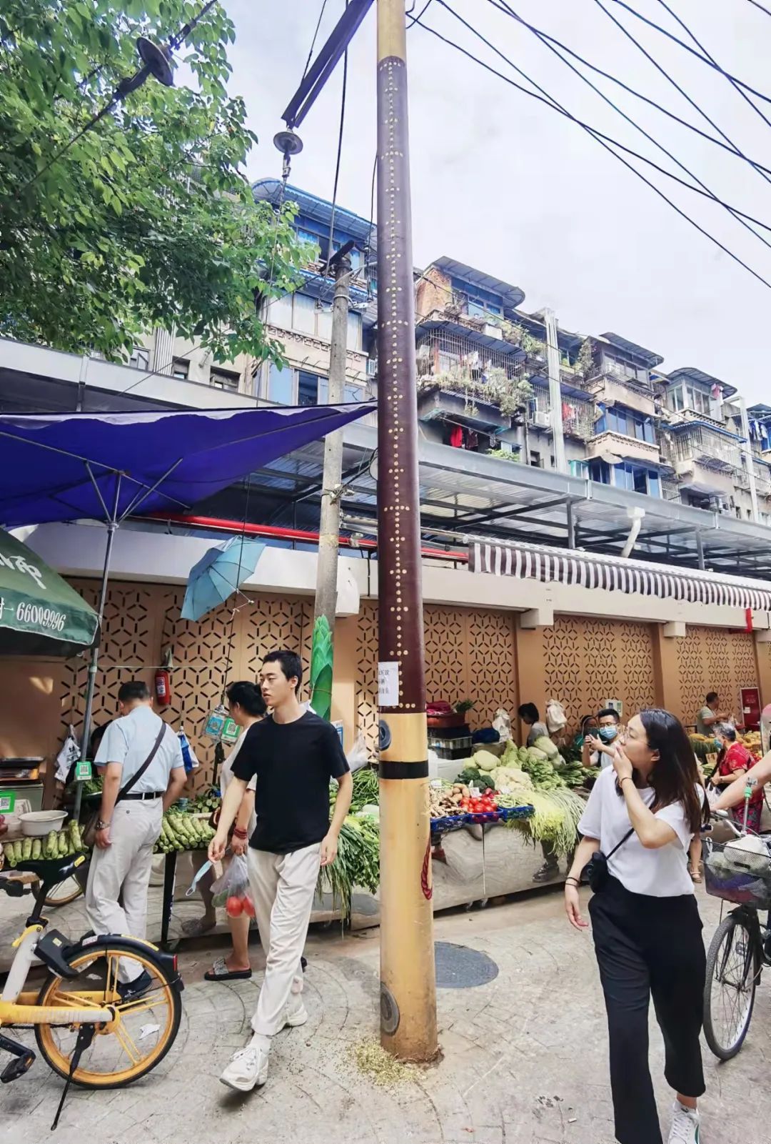 DDM 梦景未来 · 2021 年度获奖项目集锦-272