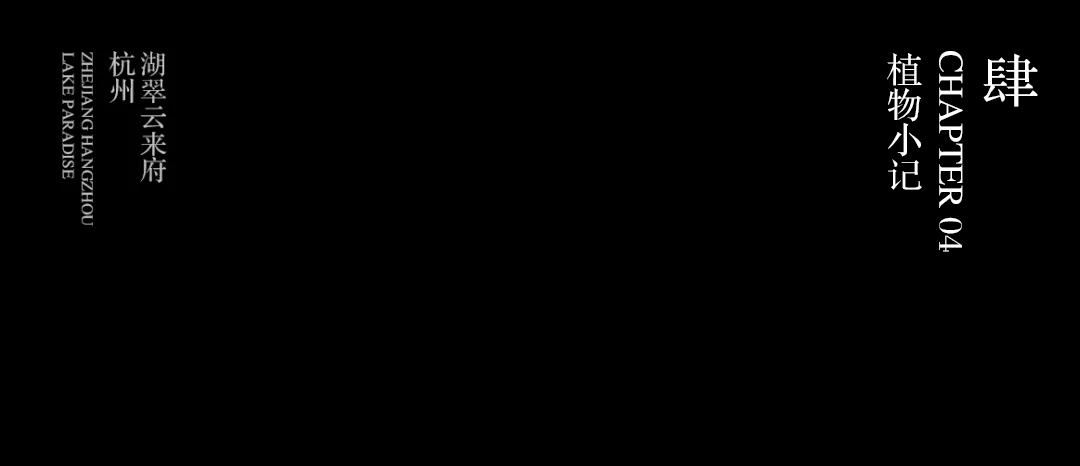 MUSUN·西房中天·湖翠云来府丨中国杭州丨杭州木杉景观设计有限公司-36