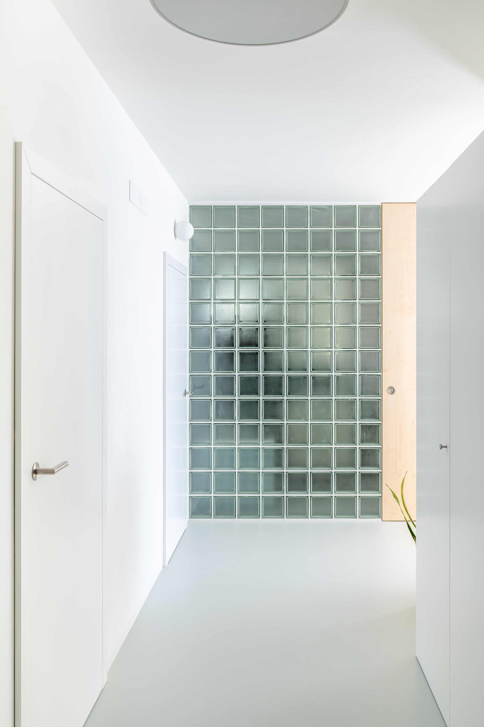 小公寓丨斯洛伐克丨Grau Architects-16