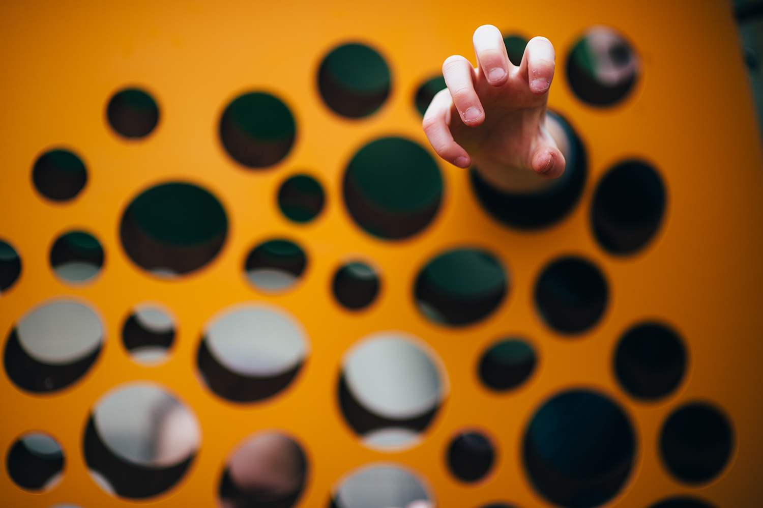 惠灵顿植物园的探索花园——儿童与自然的亲密接触-18