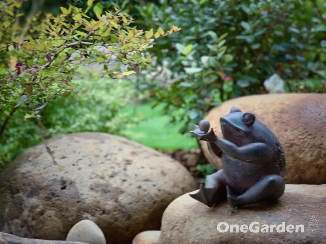 钱湖比华利 | 野性自然式花园的改造艺术-67