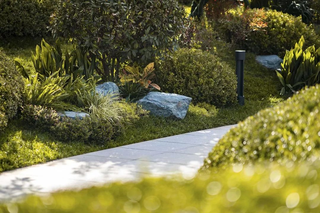 项目巡礼｜中南·君启  花萼初绽，演绎现代唐风雅致-77