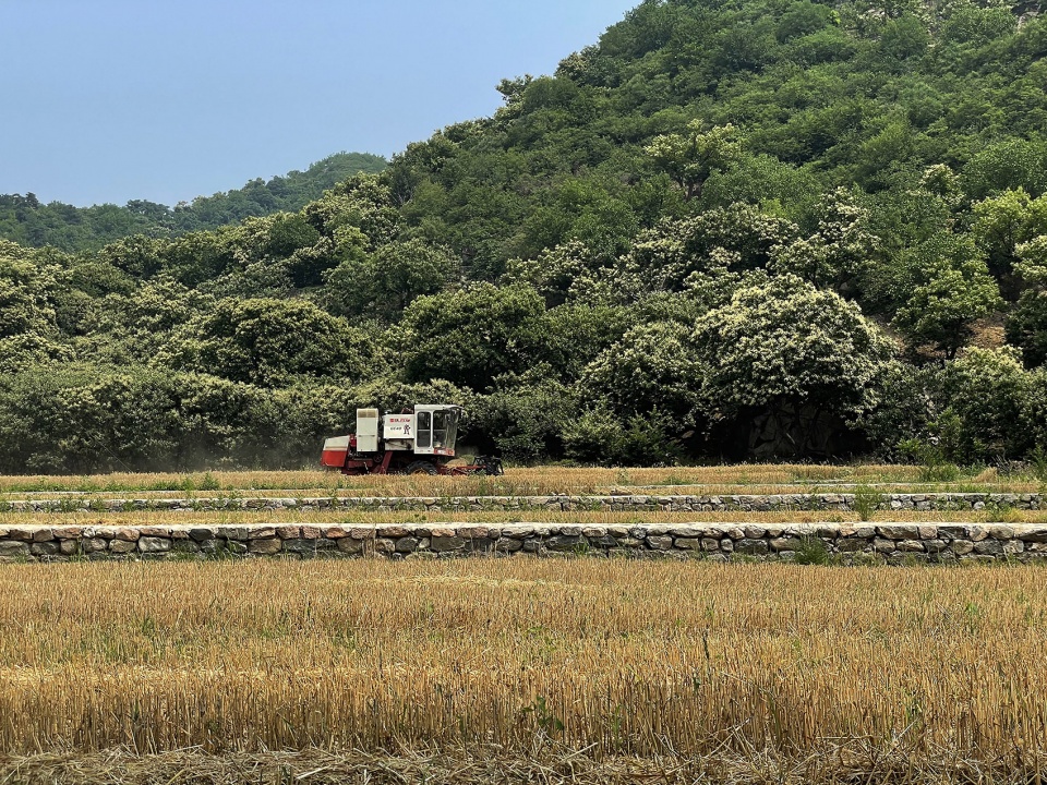 怀柔渤海镇栗花溪谷风景道提升设计丨中国北京丨九源(北京)国际建筑顾问有限公司-51