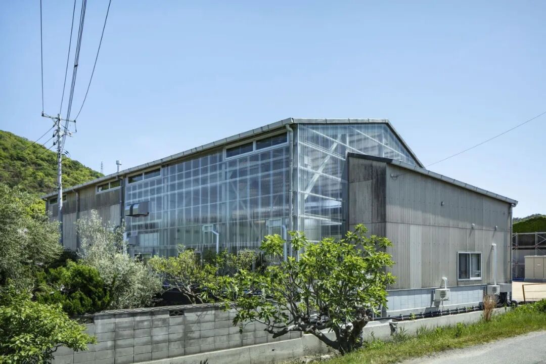 日本Teshima Factory丰岛工厂改造项目-21