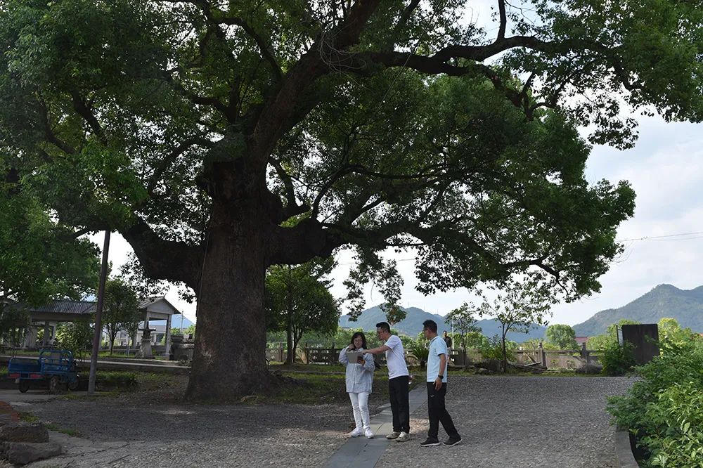 东阳古渊头村文旅策划与概念规划项目丨中国浙江丨角马设计-5