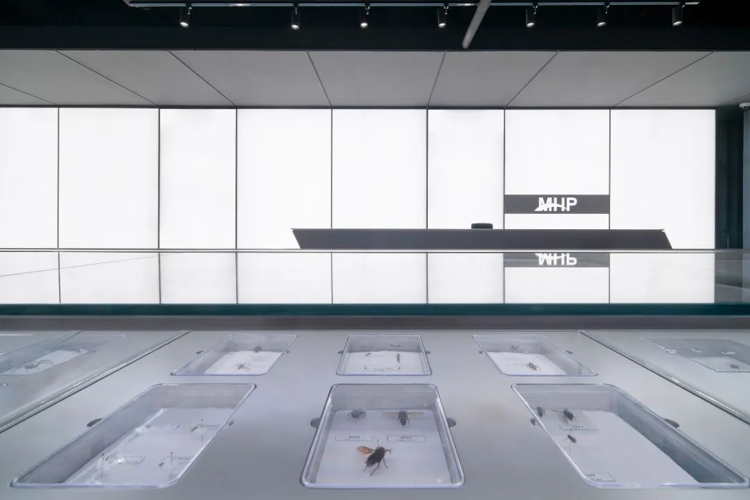 MHP公共卫生交互中心(上海)丨中国上海丨DUTS杜兹设计-44