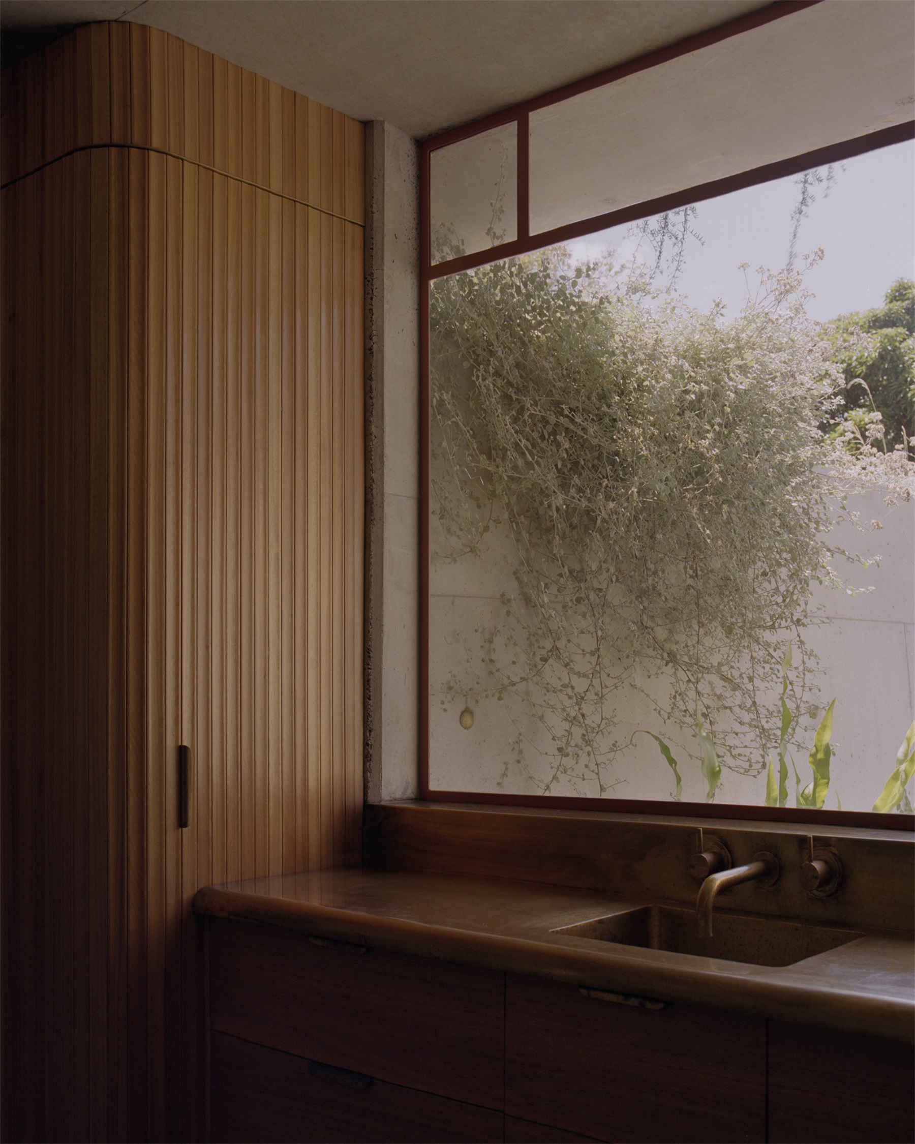 帕洛玛丨澳大利亚悉尼丨Fearon Hay-69