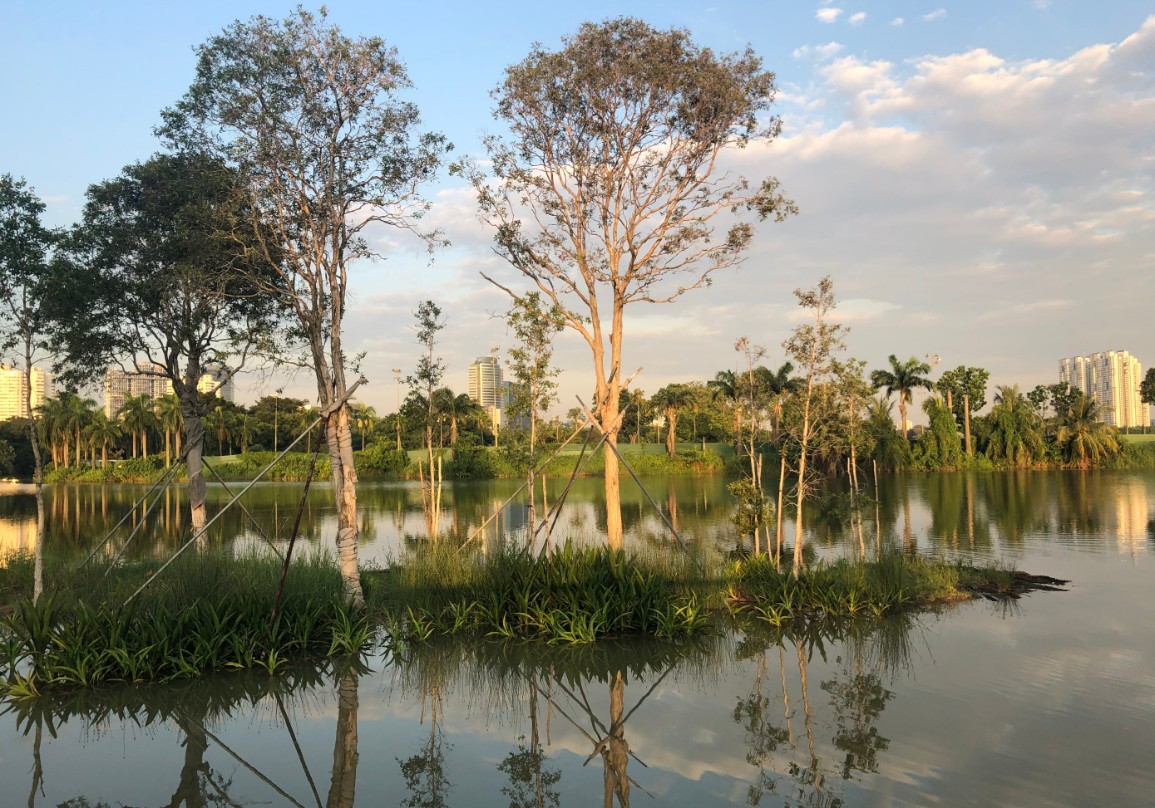 裕廊湖花园湖畔花园丨新加坡-41