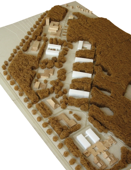 丨NetherlandsNijmegen-2