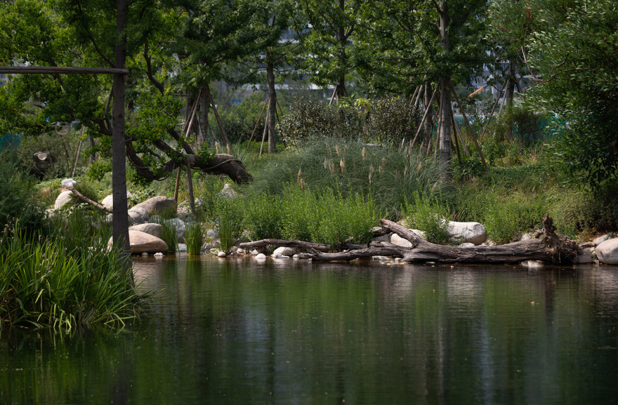 成都麓湖生态城仙踪公园丨中国成都丨WTD纬图设计-102
