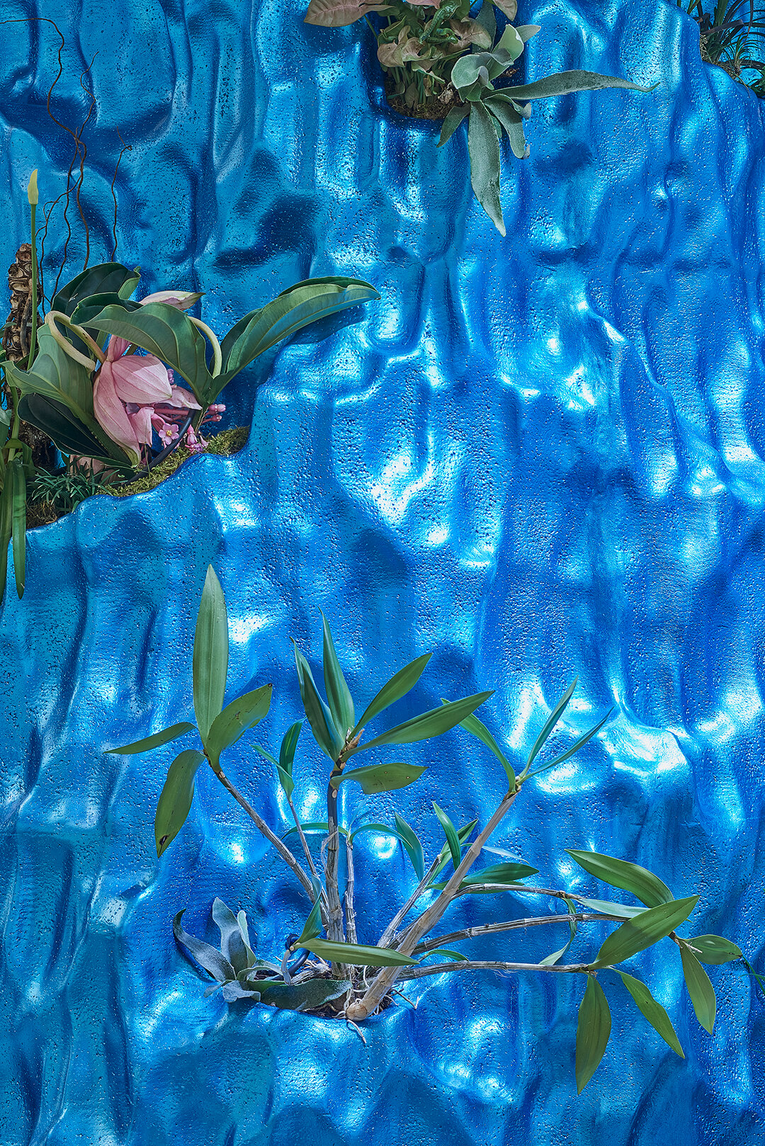 Friends & Frames Vilnius 旗舰店-13