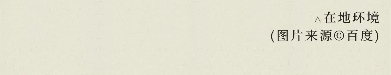 深业·麓溪云境下叠别墅丨中国长沙丨广州共生形态工程设计有限公司-6