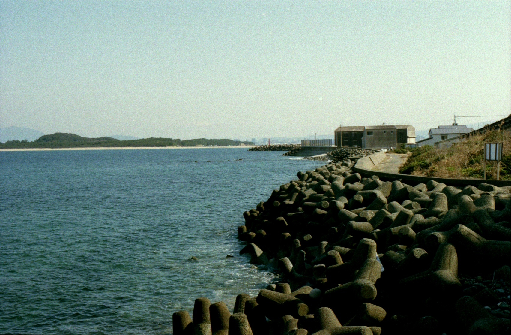 Film lives on.-13