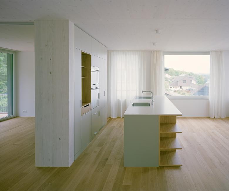 在菲斯利斯巴赫的山坡上居住丨瑞士丨Kollektiv Marudo-33