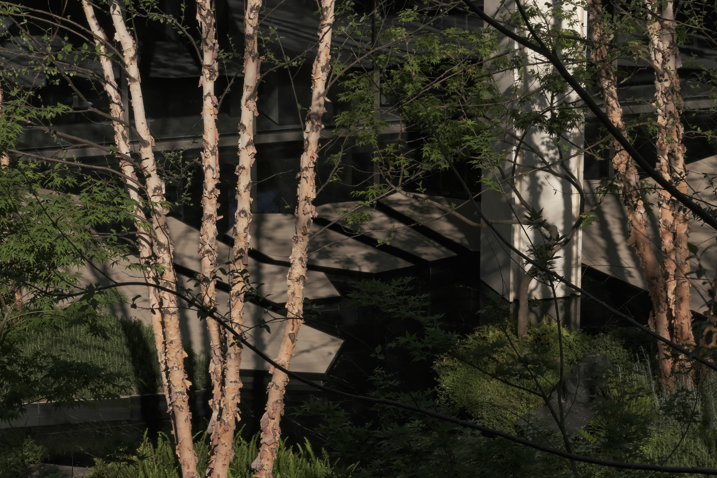 苏州蠡棠森屿示范区丨MIND 迈德景观-16