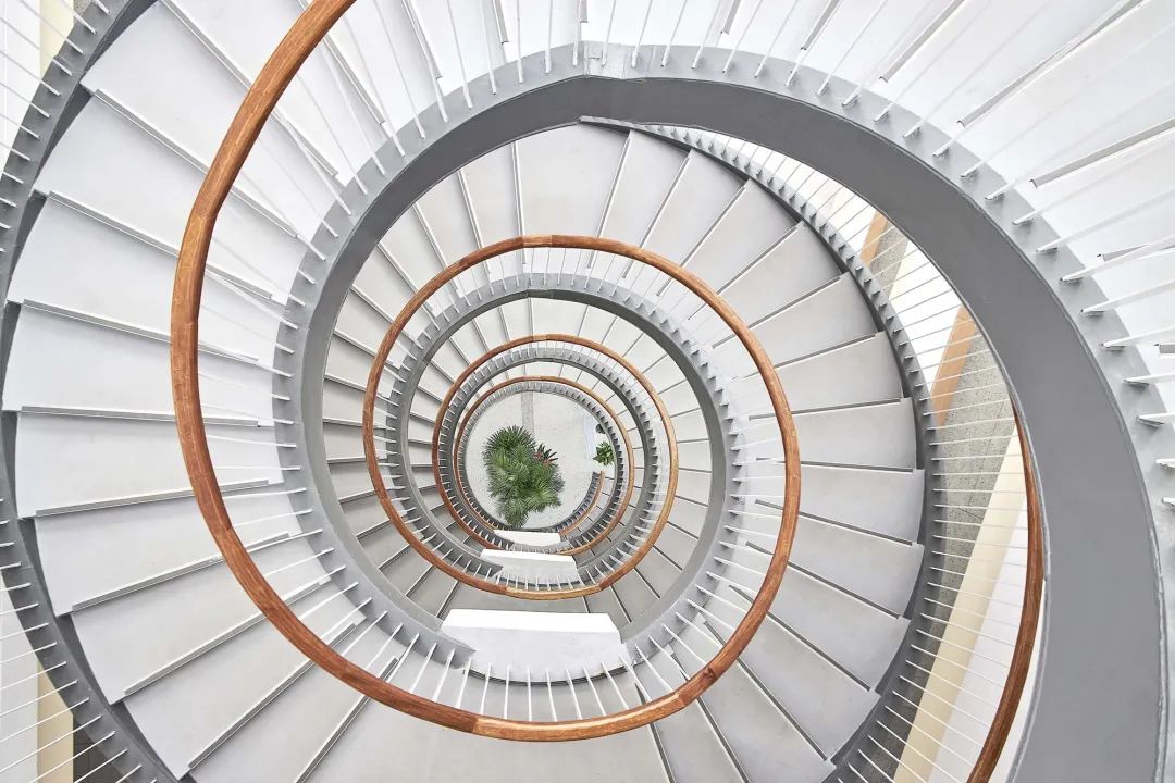 复旦大学新江湾第二附属学校-38